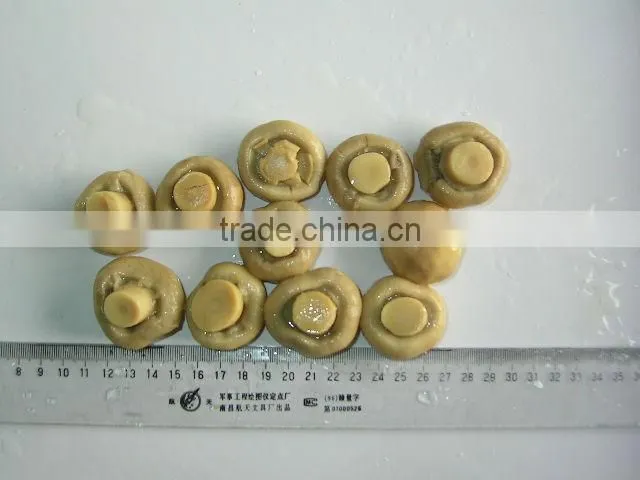 Canned Mushrooms Pieces&Stems