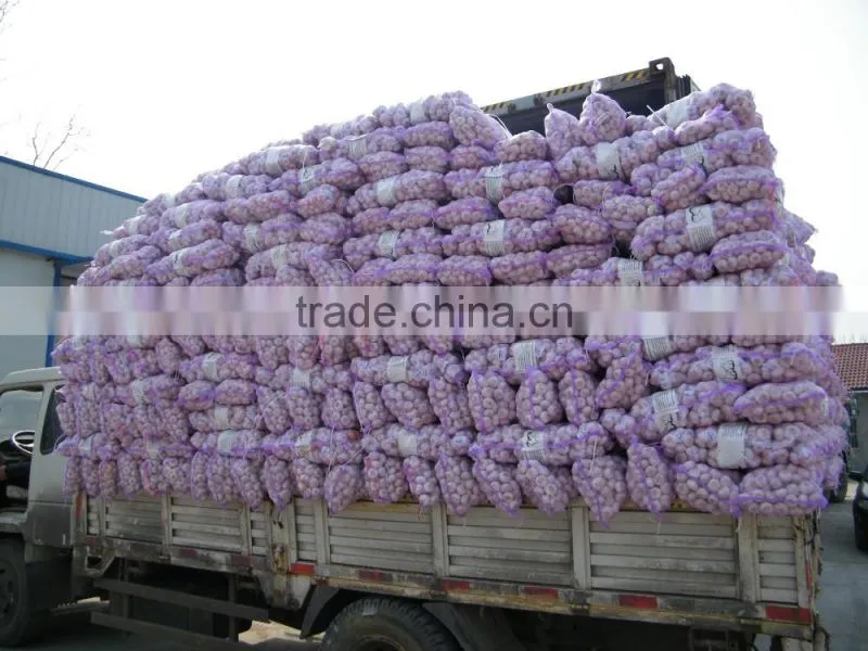 Low Price Buy Chinese Garlic