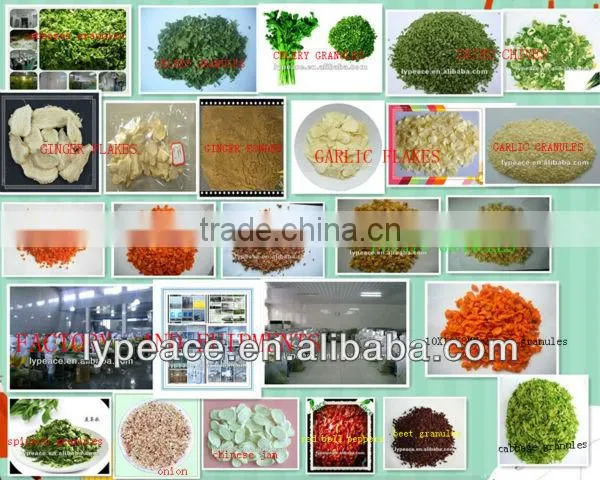 B grade dried carrot sliced with perfect service