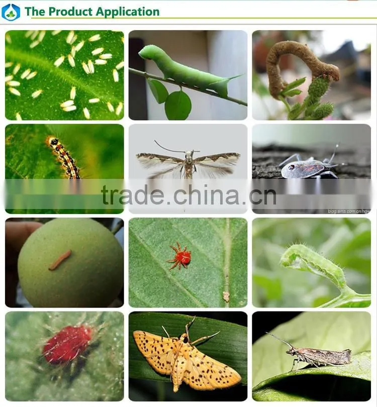pyrethroid insecticide and household pesticide cyfluthrin 92% TC