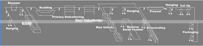 good halal chicken slaughter line/slaughterhouse equipment