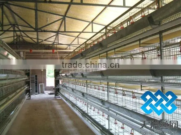 hot-sale good quality poultry farm layer chicken cage