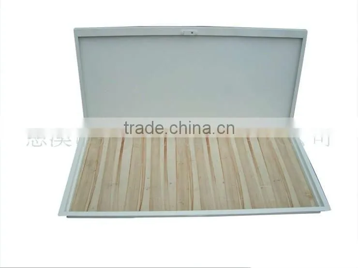 Scuttle Window Panel Ceiling