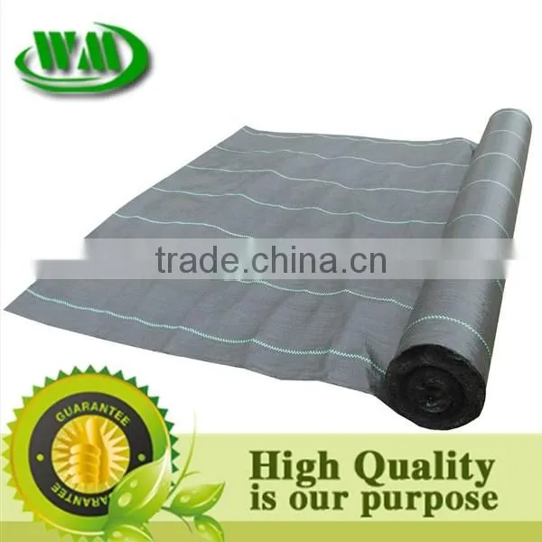 Strawberry protect plastic cover colth