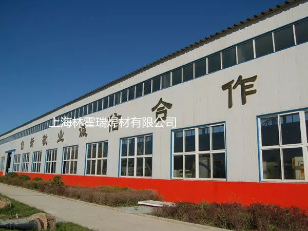 Shanghailinhuoruihancaiyouxiangongsi company overview - view 1