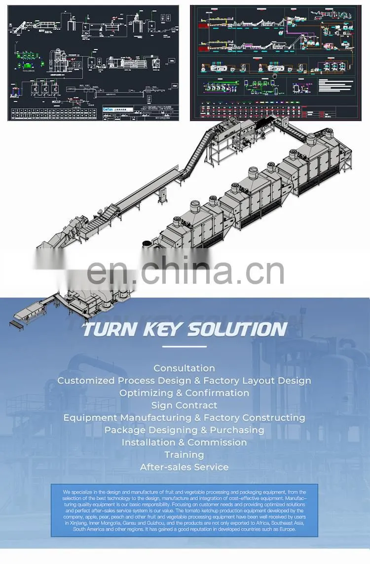 Multifunctional fruit vegetable tomato paste production line filling machine