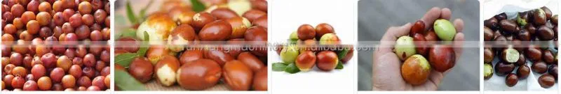 Full-automatic jujube and dates fruit sorter vegetable sorting grading slicing machine