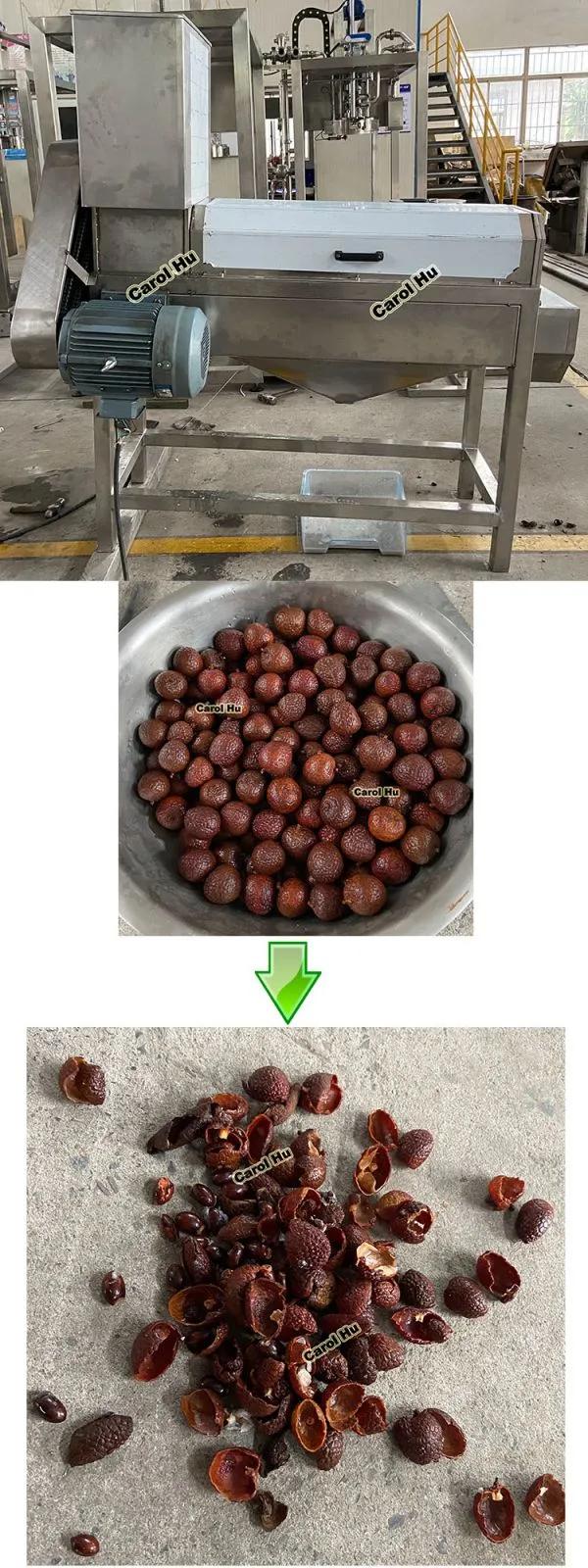 GYCH Small 500kg Longan Lychee Litchi Peeling Juicer Machine