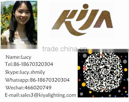 Indoor/Outdoor 5w laser effect light for christmas,party,concert,wedding decoration