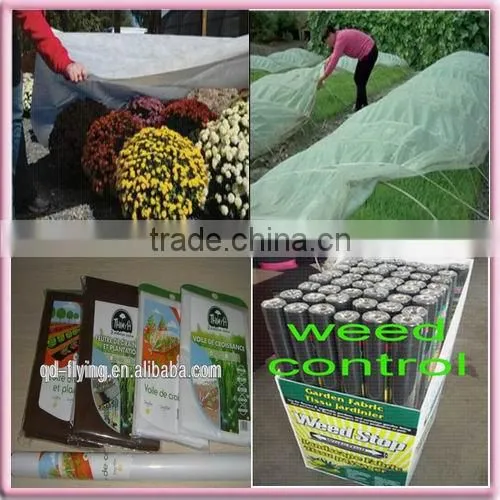 Non-woven polyester mat