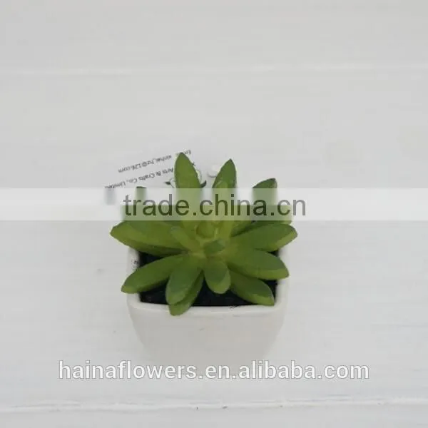 Mini Potted artificial plants succulent plants for indoor decoration