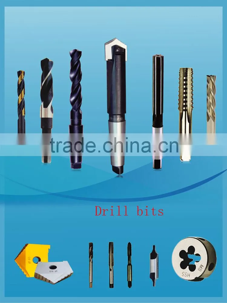 Exchangeable Spade Drill Inserts