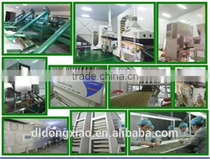 High Quality Raw Sunflower Seeds for Oil Price