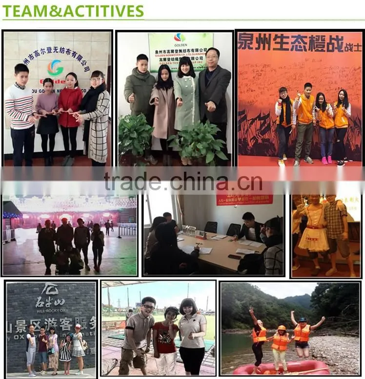 Mattress Interlining Nonwoven Fabric, Non woven Roll for Furniture and Sofa