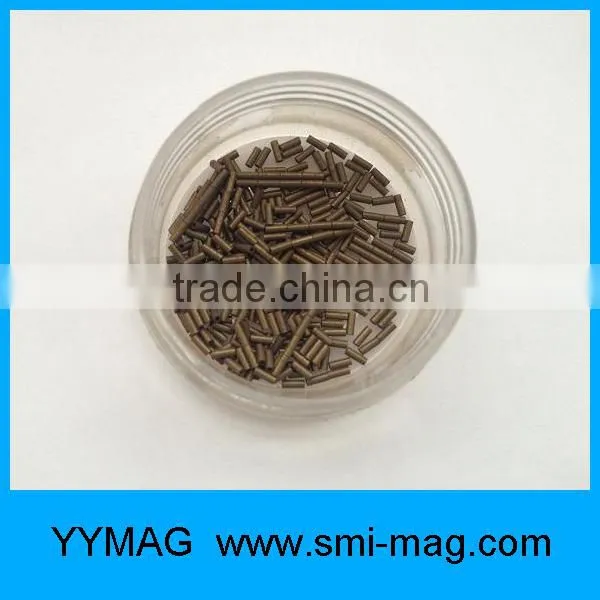 Customized Quality Certificated Strong Neodymium Mini Magnets