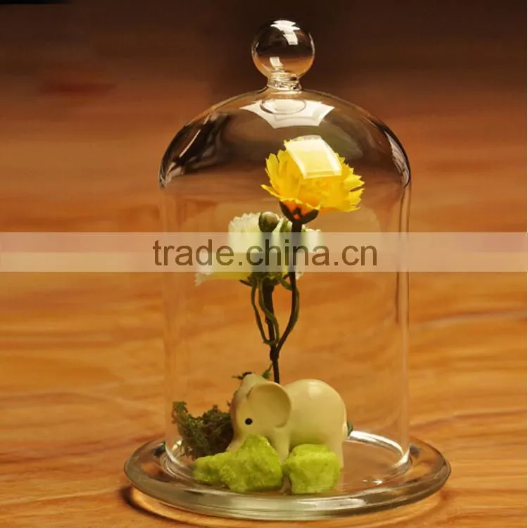 High clean glass decor dome cover for home/office