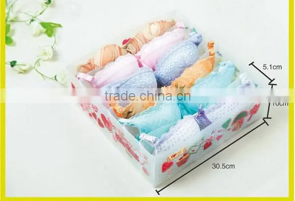 Transparent divided socks storage box with clear top