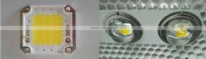 Meanwell driver bridgelux COB 60W 80W100W 120W LED Flood light Waterproof outdoor lighting