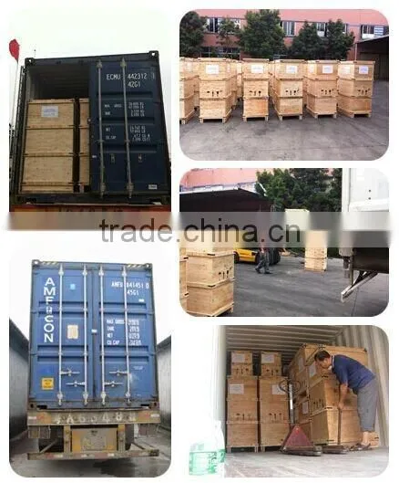 2014 Classic high efficiency high speed food mixer price (TL-10L)