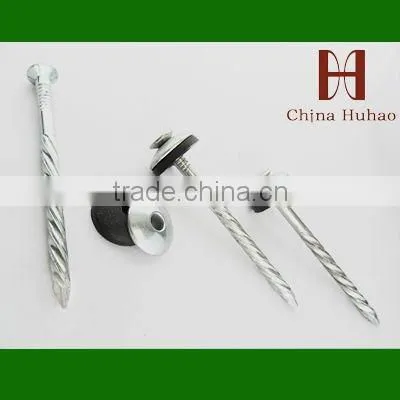 1"--6" polishing flad head iron nail (factory)