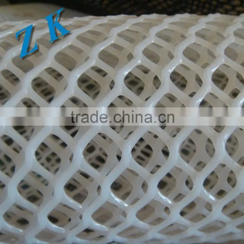 Plastic net From China