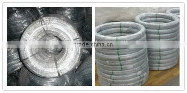 Electric Galvanized Iron Wire (factory)