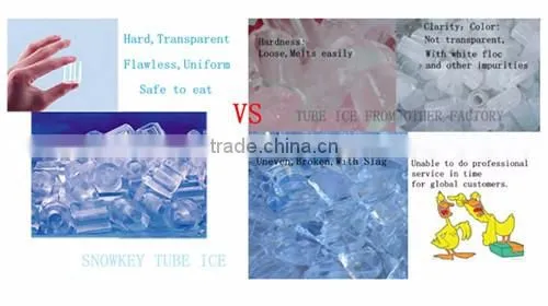 Quality Assured and Cheap price large size Tube Ice Plant from Snowkey