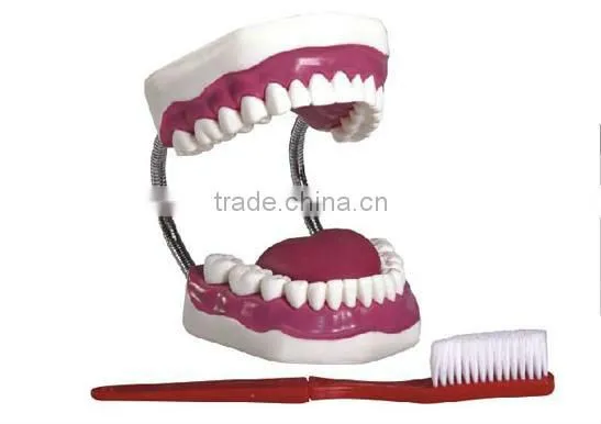 Health Care of Oral cavity