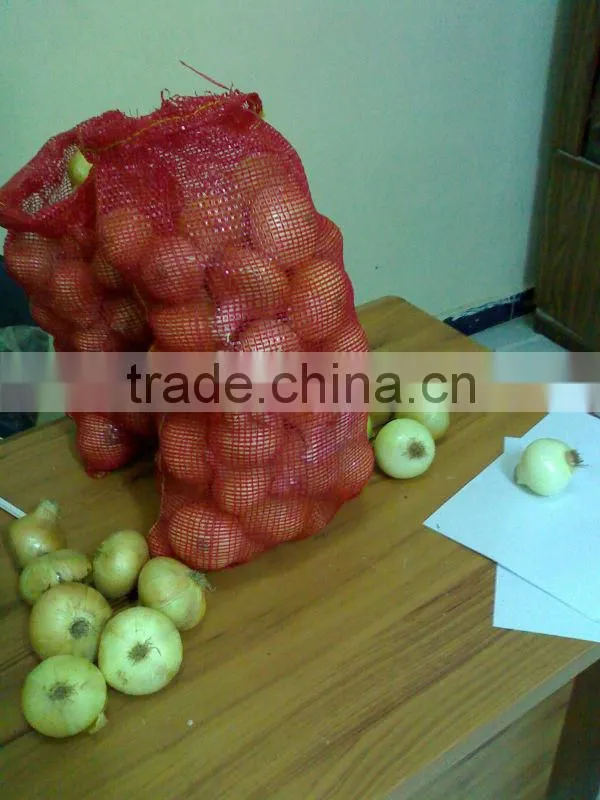 Gold Onion ( crops 2013)