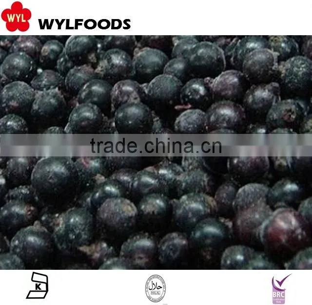 IQF frozen balck currant hot sale 2015
