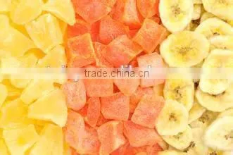 Good Performance fruits and vegetables vacuum drying machines (0086-13683717037)