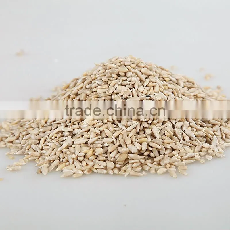 new crop confectionary sunflower seed kernels
