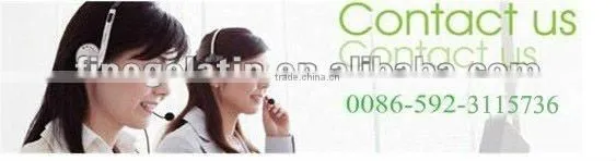 porcine skin industrial gelatine/gelatin for ceramics