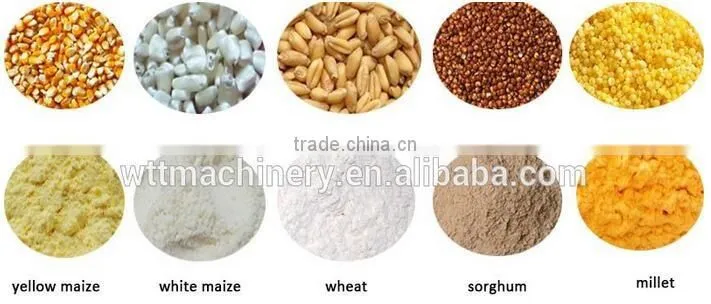 European Standard wheat flour plant