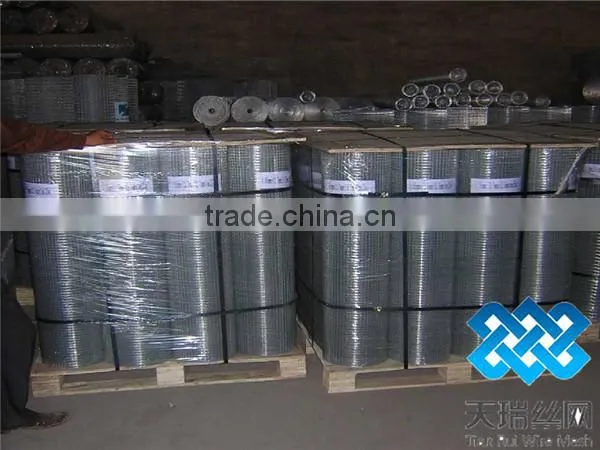 Stainless steel screen mesh or stainless steel crimped wire mesh