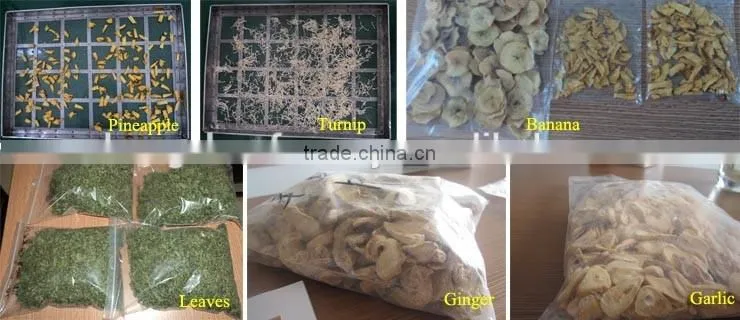 Industrial ginger drying machine/Ginger power processing equipment/Ginger dehydrator
