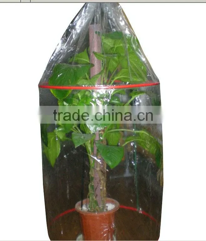Green color PE Agricultural Plastic Perforated Film with UV for protective tomato tree