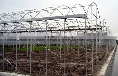 Artificial intelligence plastic greenhouse