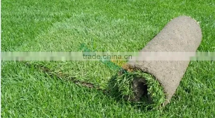 High quality synthetic grass turf for campus playground cover for sale
