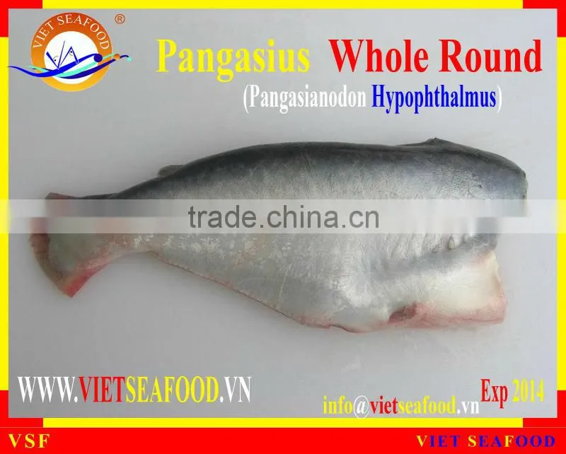 FROZEN W/R PANGASIUS