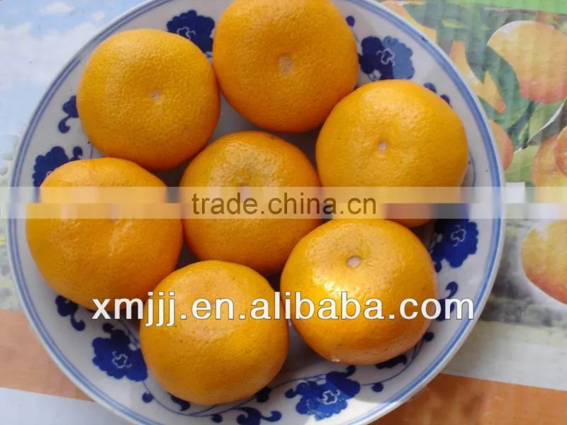 Fresh sugar mandarin