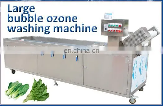 home use ozone mushroom lettuce spinach leaf vegetable washing machine