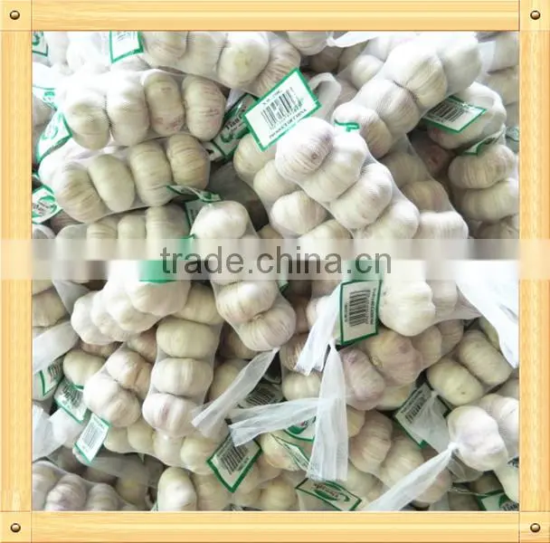2016 Jinxiang fresh garlic