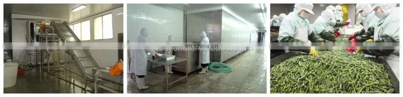 Good Performance Quick Frozen Machine Green Soy Bean Fruit Vegetable Making Machine Processing Machinery/processing plant