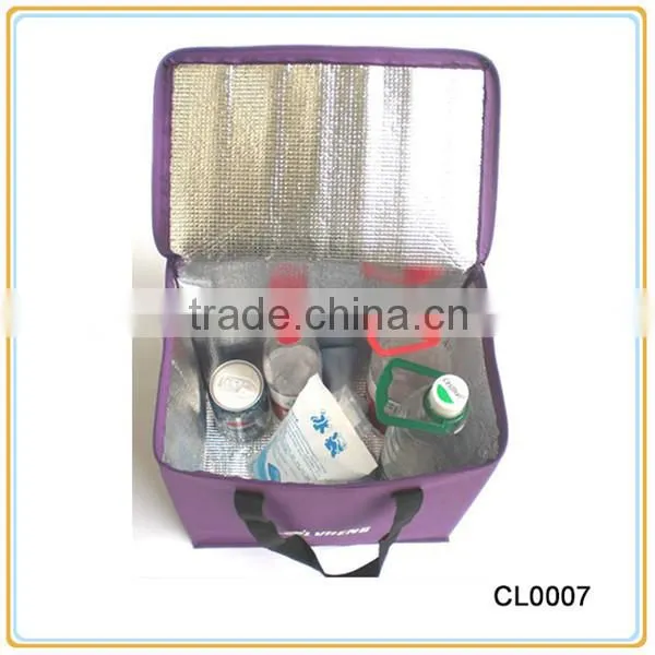 Outdoor Nonwoven Insulated Lunch Cooler Bag