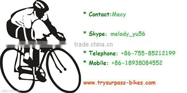 2014Carbon Tri Complete bike Carbon AERO triathlon bicycle Time Trial carbon