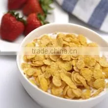 high effeciency corn flakes processing line