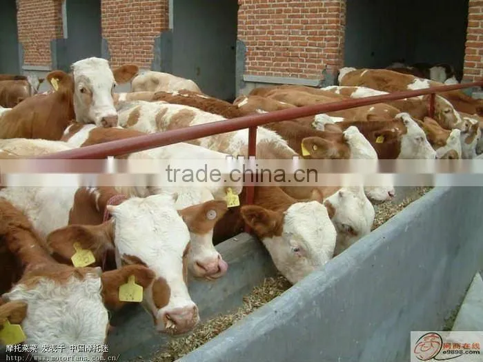 Small Poultry and Livestock Feed Pelletilizer Price