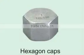 investment casting carbon/stainless steel pipe fittings hexagon caps