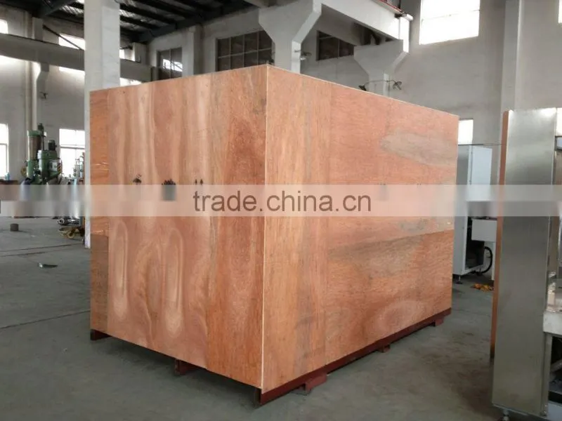 MIC- 250 plastic aluminum thermoforming blister packing machine for medicne food cosmetic with GMP